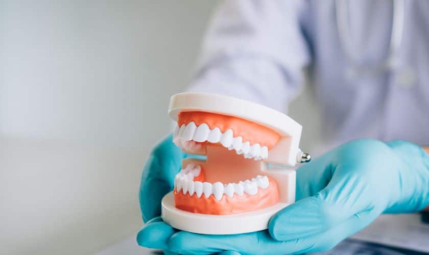 Exceptional Dentistry Services In Whitehouse: Your Smile’s Best Friend